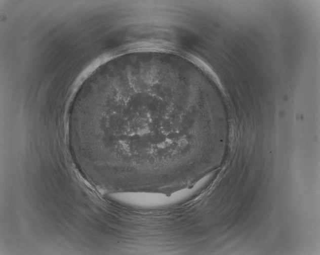 X0000084041419200703022137