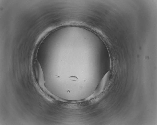 X0000084041422200703022137