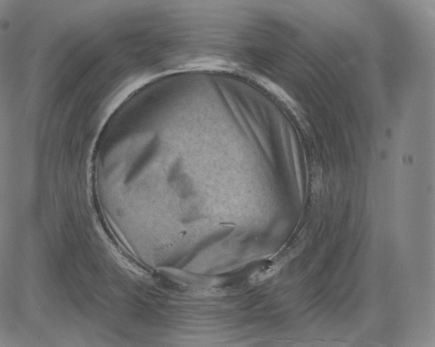 X0000084041423200703022137