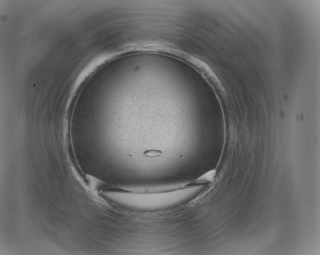 X0000084041424200703022137