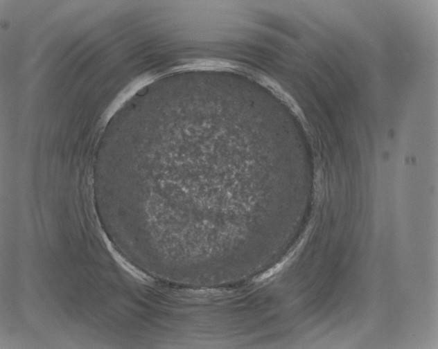 X0000084041425200703022137