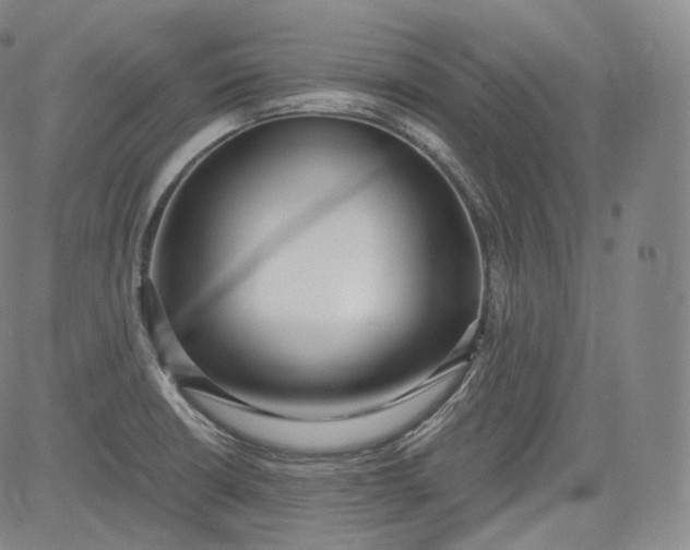 X0000084041426200703022137