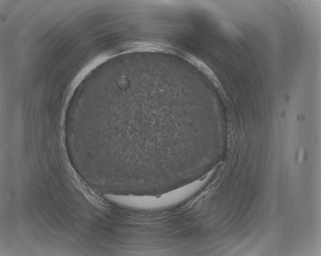 X0000084041427200703022137