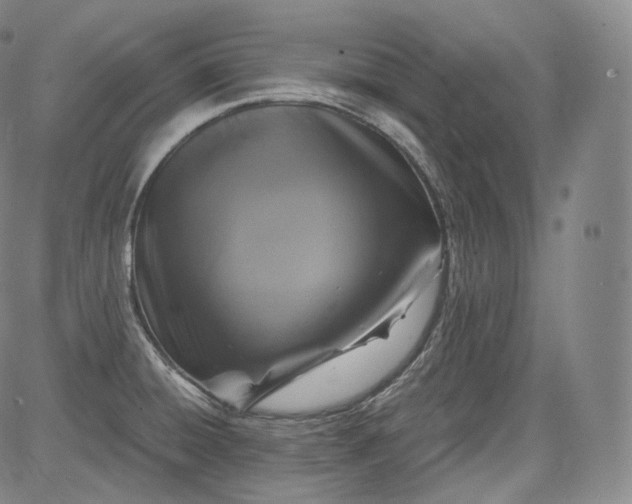 X0000084041428200703022137