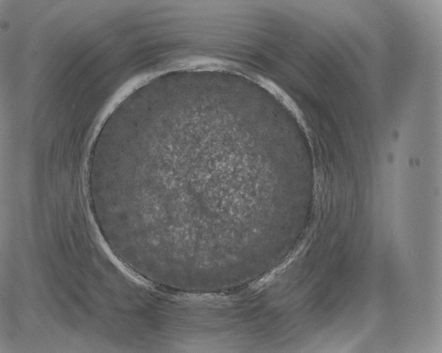 X0000084041429200703022137