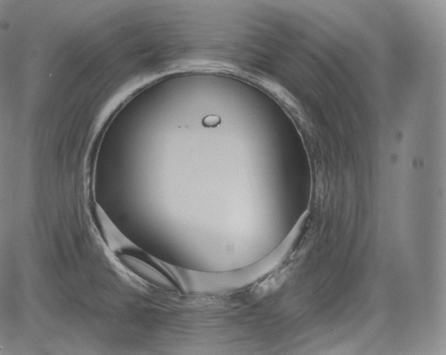 X0000084041430200703022137