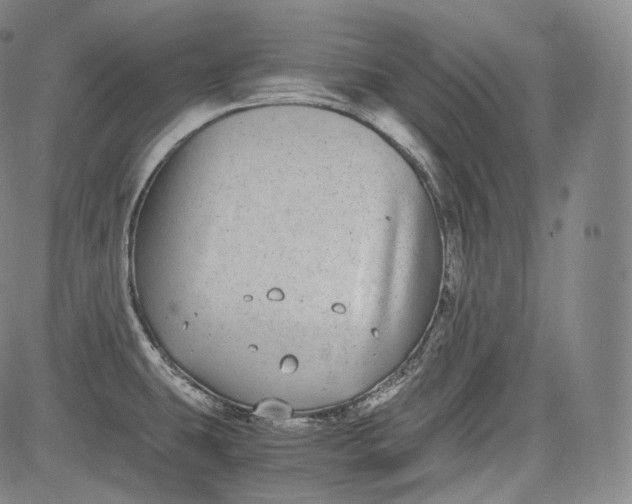 X0000084041431200703022137