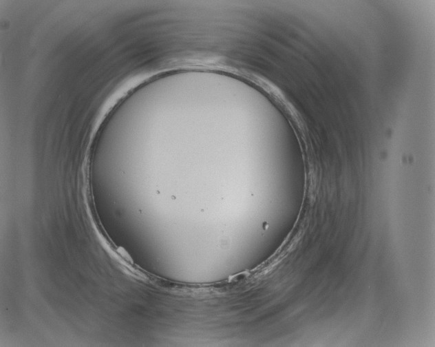 X0000084041432200703022137