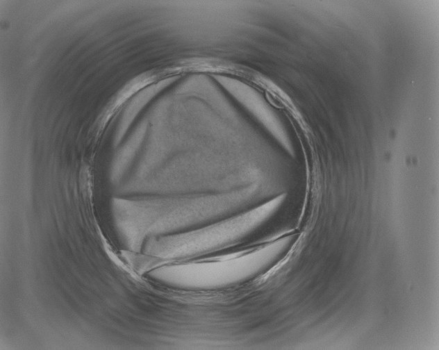 X0000084041433200703022137