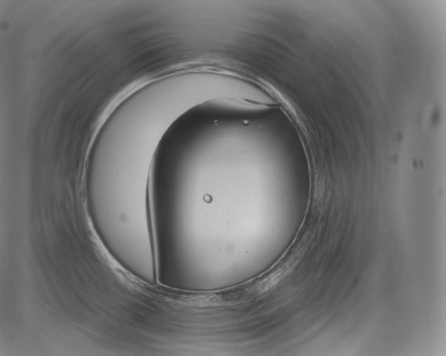 X0000084041434200703022137