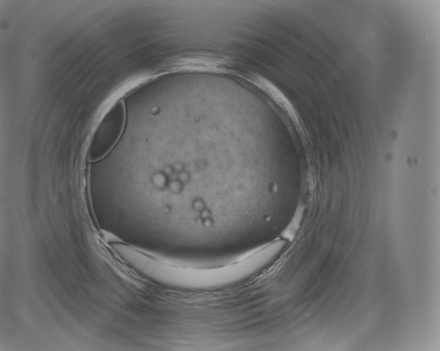 X0000084041435200703022137