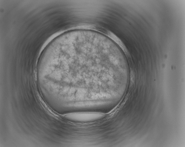 X0000084041436200703022137