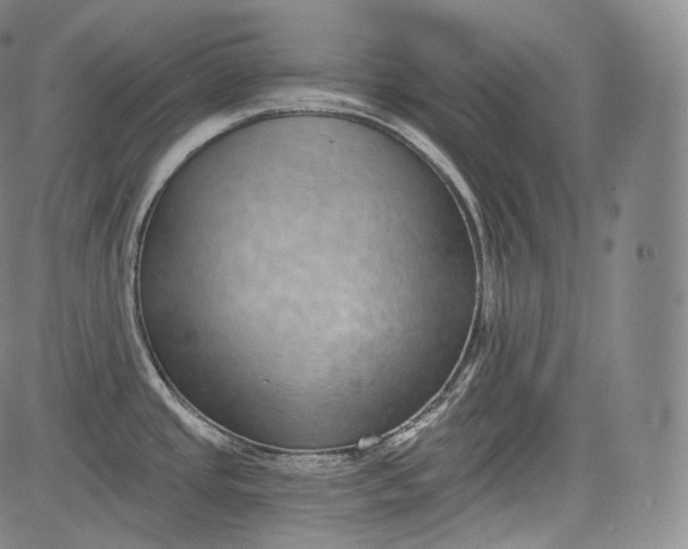 X0000084041437200703022137