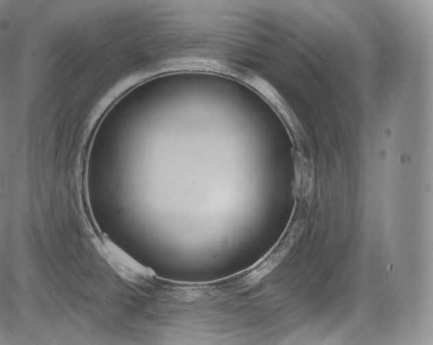 X0000084041438200703022137