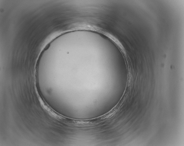 X0000084041439200703022137