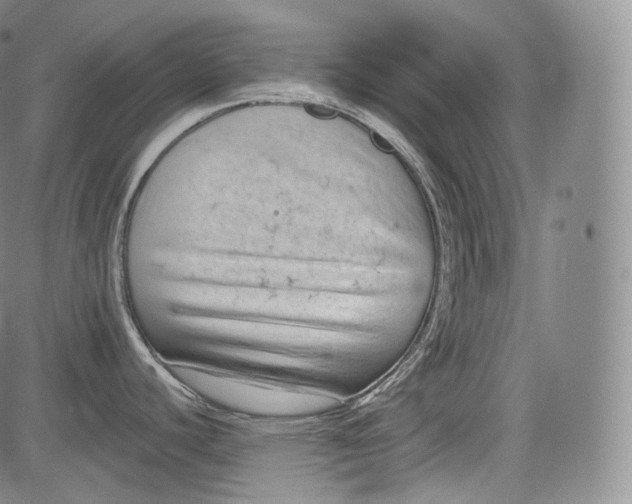 X0000084041440200703022137