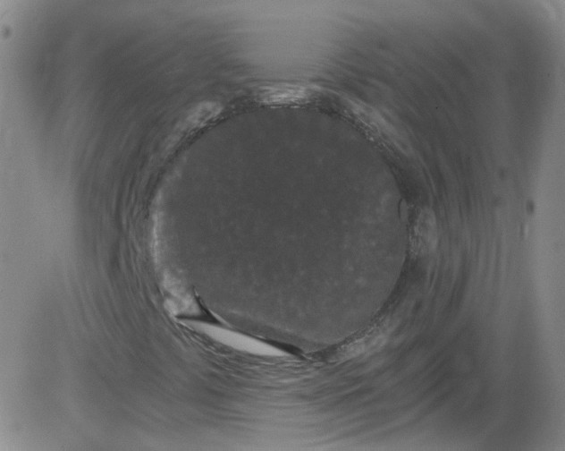 X0000084041441200703022137