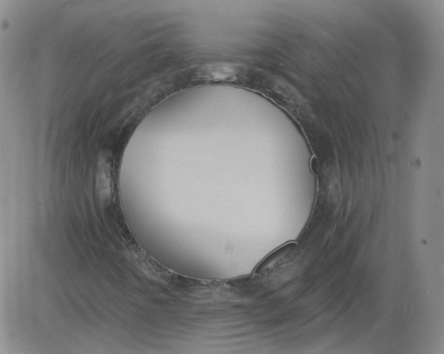 X0000084041442200703022137