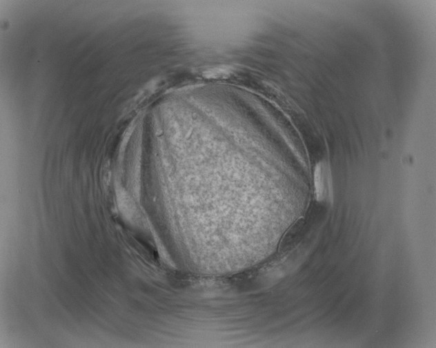 X0000084041443200703022137