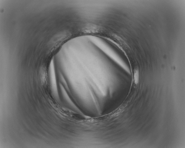 X0000084041444200703022137