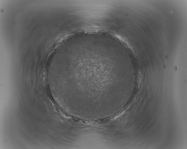 X0000084041445200703022137