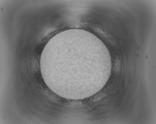 X0000084041446200703022137