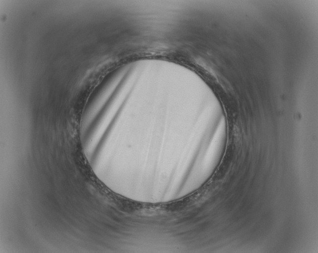 X0000084041447200703022137