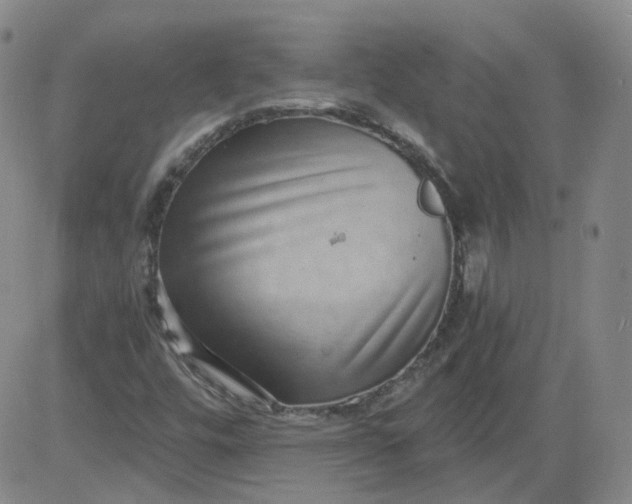 X0000084041448200703022137