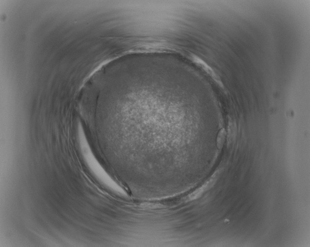 X0000084041449200703022136