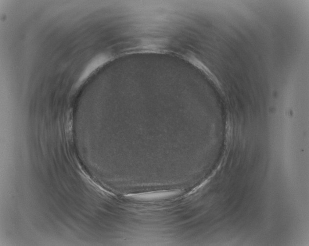 X0000084041450200703022136