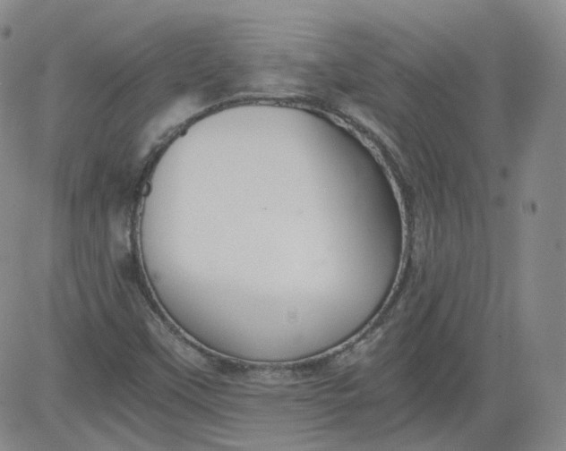 X0000084041451200703022136