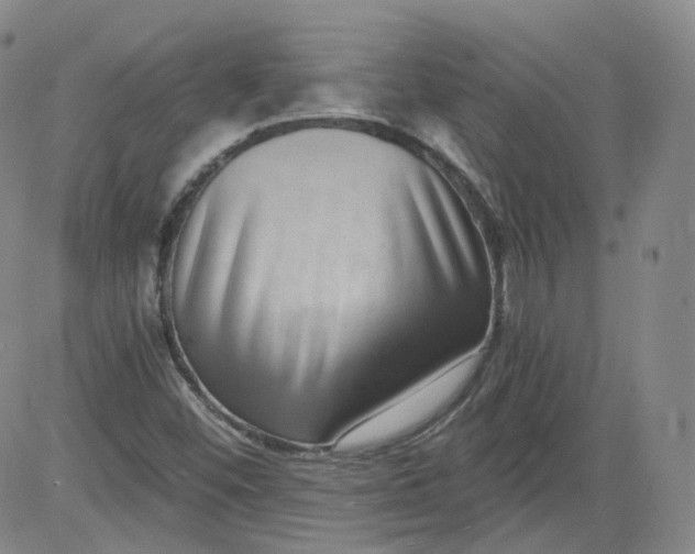 X0000084041452200703022136