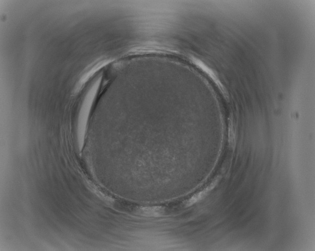 X0000084041453200703022136