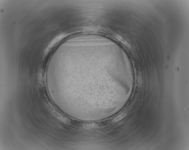 X0000084041454200703022136