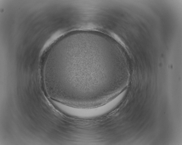 X0000084041456200703022136