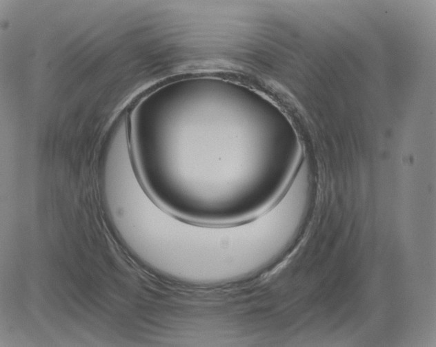 X0000084041457200703022136