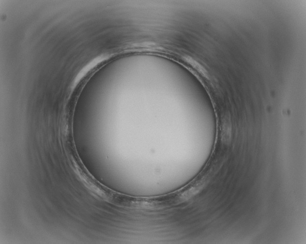 X0000084041458200703022136