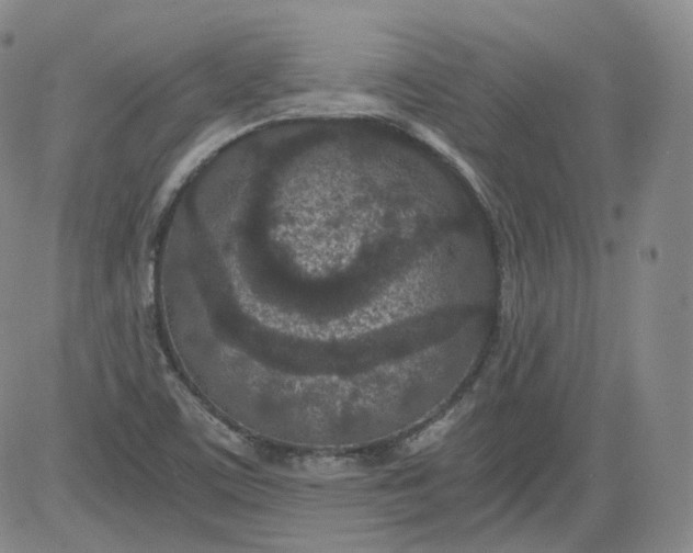 X0000084041459200703022136