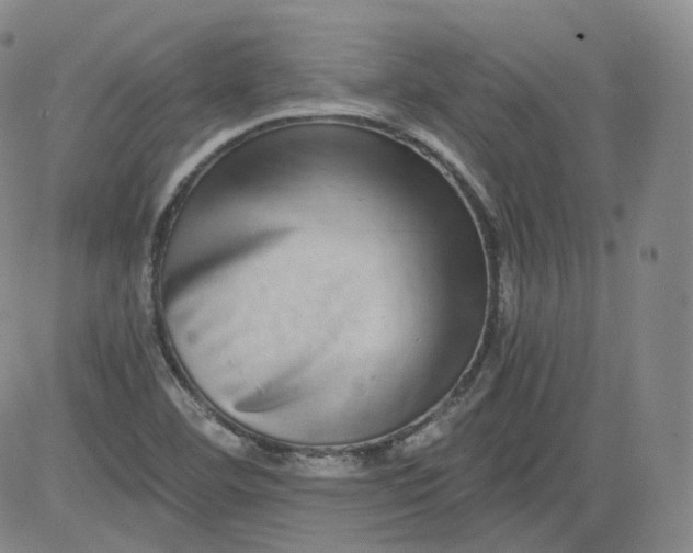 X0000084041460200703022136