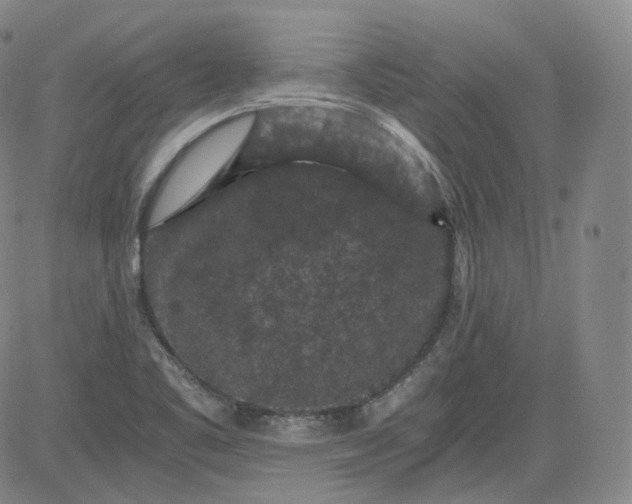 X0000084041461200703022136