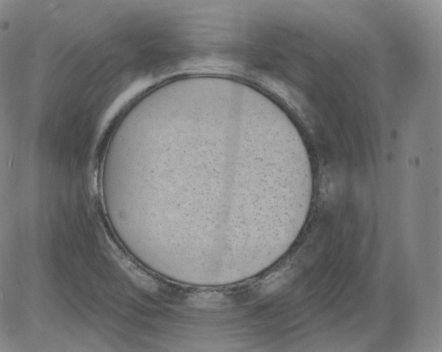 X0000084041462200703022136