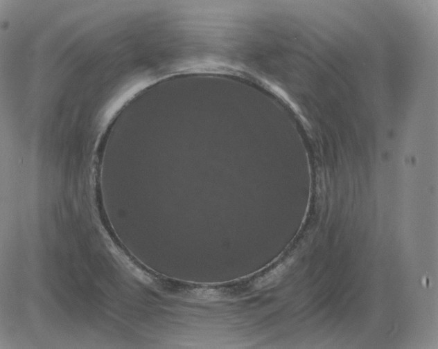 X0000084041463200703022136