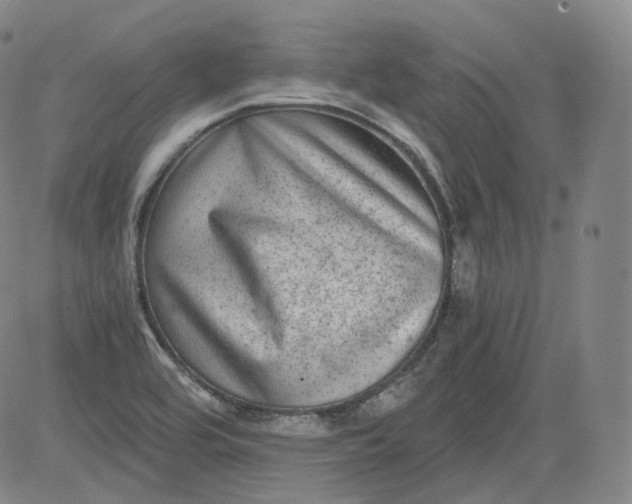 X0000084041464200703022136