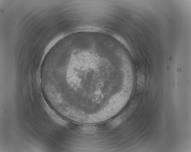 X0000084041466200703022136