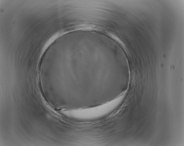 X0000084041467200703022136