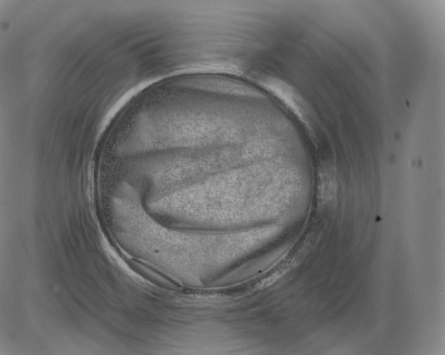 X0000084041468200703022136