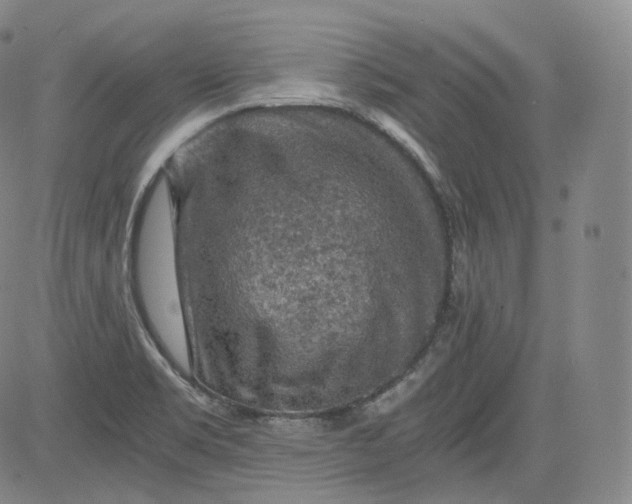 X0000084041469200703022136