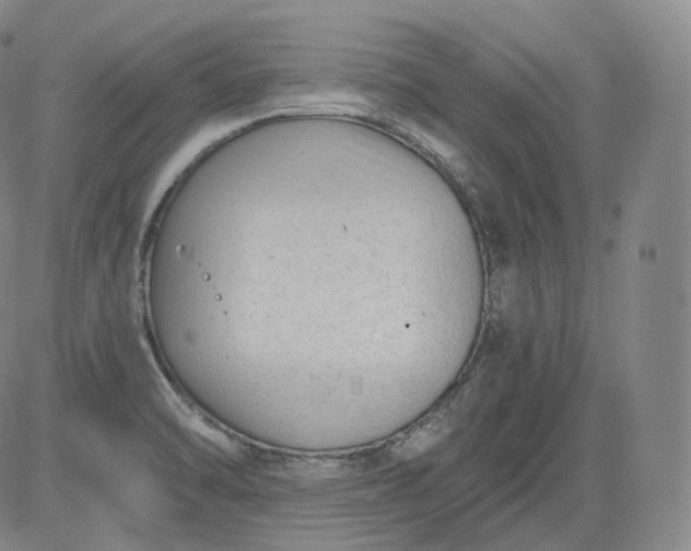 X0000084041470200703022136