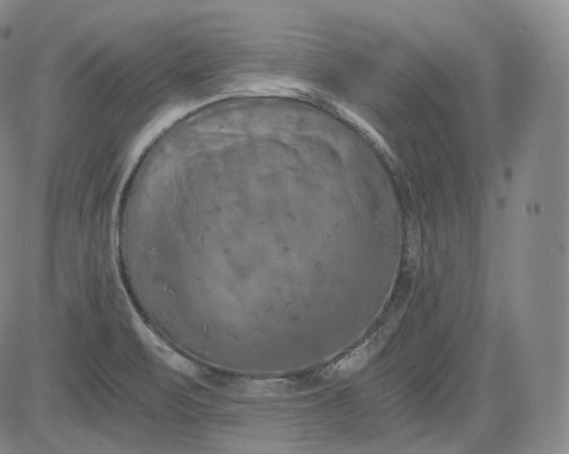 X0000084041471200703022136