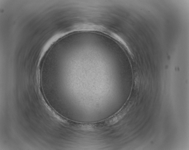 X0000084041472200703022136